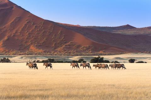 Namib-Naukluft National Park